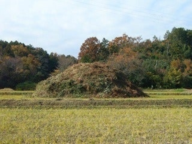 閏田古墳の写真1