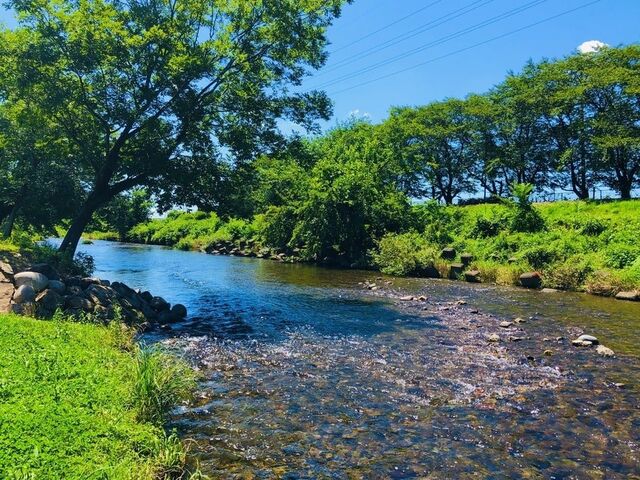 河川公園とみぱーくの写真1