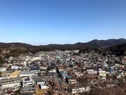 中馬街道 うかれ横丁の写真2