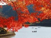 伊自良湖・甘南美寺の写真2