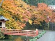 伊自良湖・甘南美寺の写真3