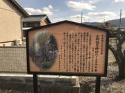 黒田長政お手植えの銀杏の木・五明稲荷神社の写真2