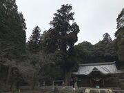 伊富岐神社の写真2