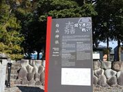 白山神社 (旗懸けの松)の写真2