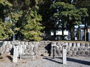 白山神社 (旗懸けの松)の写真3
