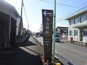 白山神社 (旗懸けの松)の写真4