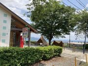 大津谷公園キャンプ場の写真3