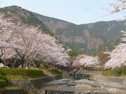 大津谷公園キャンプ場の写真4