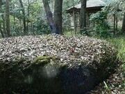 八畳岩の写真2