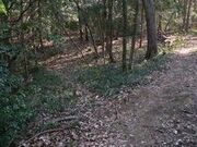八畳岩の写真3