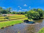 河川公園とみぱーくの写真2