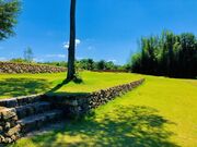 河川公園とみぱーくの写真3