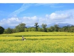 国営みちのく杜の湖畔公園(みちのく公園) オータムフェスタの写真1