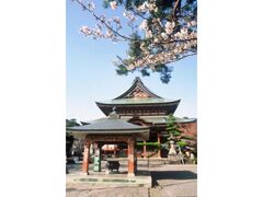 甲斐善光寺 除夜の鐘の写真1