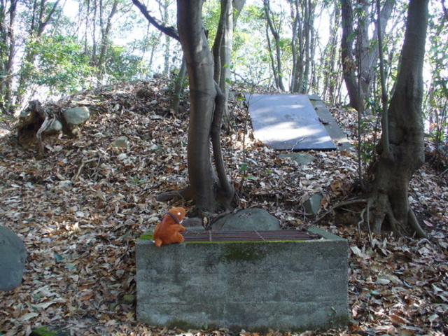 てえすけパパさんの千金甲古墳の投稿写真1