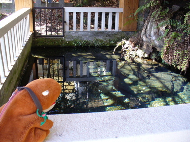てえすけパパさんの鏡ケ池の投稿写真1
