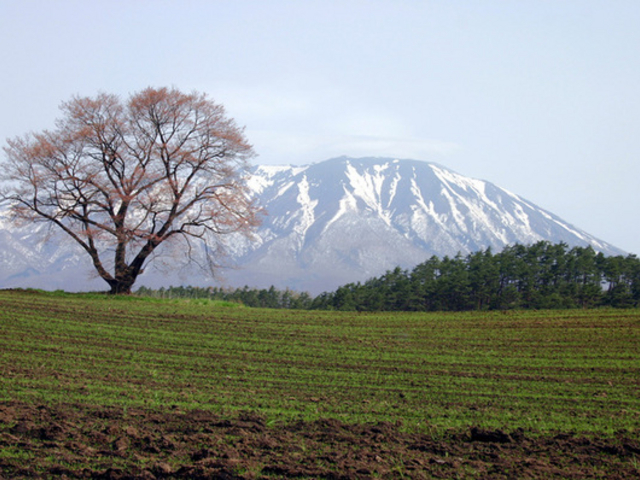 岩手山(岩手県雫石町)
