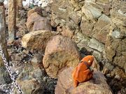 てえすけパパさんの名島檣石の投稿写真1
