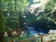 シノさんの白神山地の投稿写真1