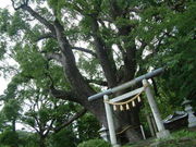 uf4さんの夫婦クスの投稿写真1