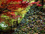 しんちゃんさんの小諸城三の門の投稿写真1