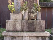 ぽちさんの十念寺の投稿写真1