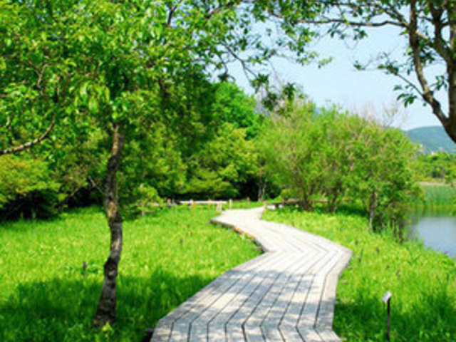 箱根湿生花園