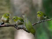 minamigaokaさんの弘法山公園公園展望台の投稿写真1