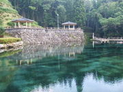 そるちゃさんの霧島山麓丸池湧水の投稿写真1