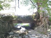 スタジオYOUさんの木の根橋の投稿写真1