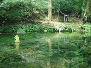 かよたんさんの池山水源の投稿写真1