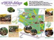まーきゅんさんの豊里ゆかりの森の投稿写真1