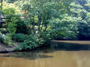 しんちゃんさんの不老池の投稿写真1