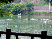 ヒガシさんの池の内湖(体験観光)の投稿写真1