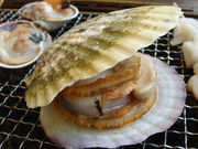 ももちゃんさんの黒潮市場の投稿写真1