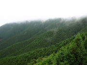 のび太さんの護摩壇山の投稿写真1