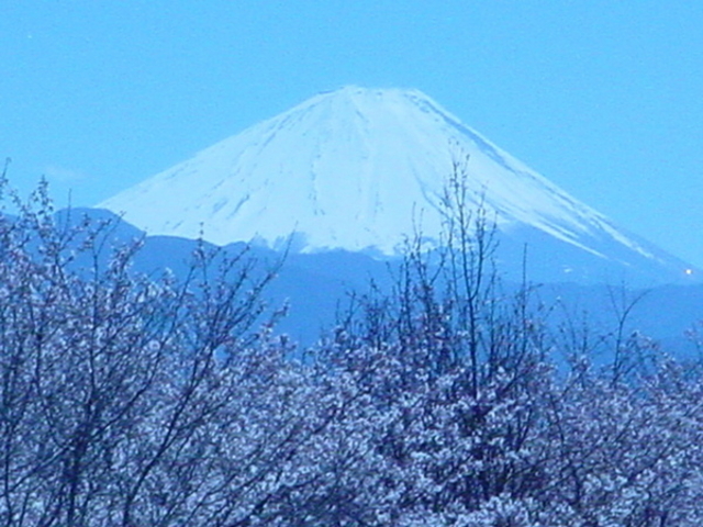ホテル神の湯温泉