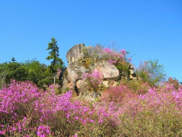 雲岩公園