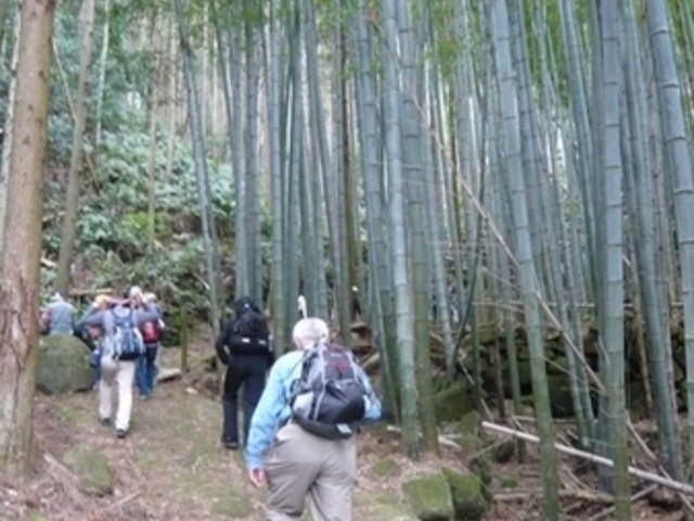 波田須の道