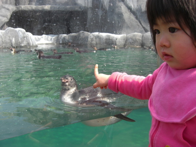 福山市立動物園