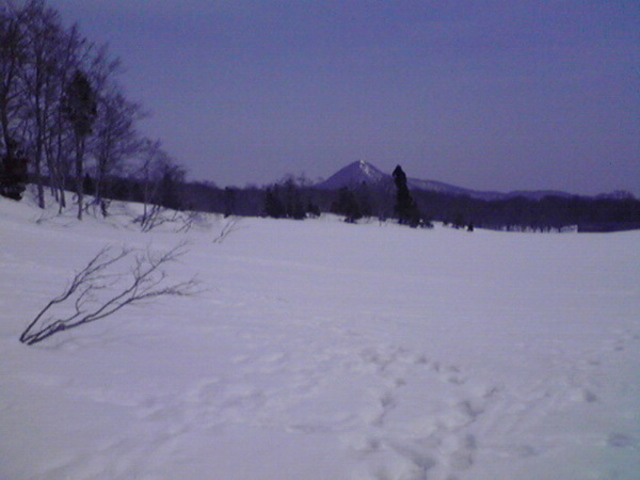 八甲田山の樹氷