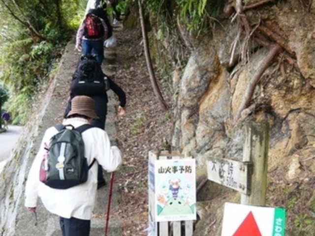 ウォーレンさんの熊野古道 波田須?大吹峠の投稿写真1