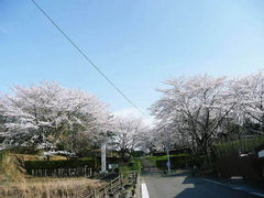 yukiさんの雷神山古墳への投稿写真1