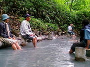 かあみさんの登別原始林の投稿写真1
