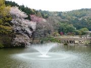 ウォーレンさんの赤塚山公園の投稿写真1