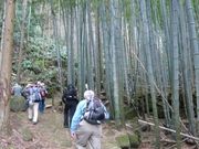 ウォーレンさんの波田須の道の投稿写真1