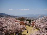 ひっちぃさんの大法師公園の投稿写真1