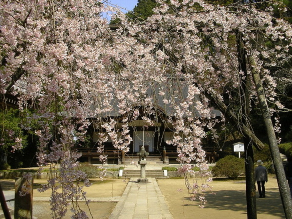 弘川寺
