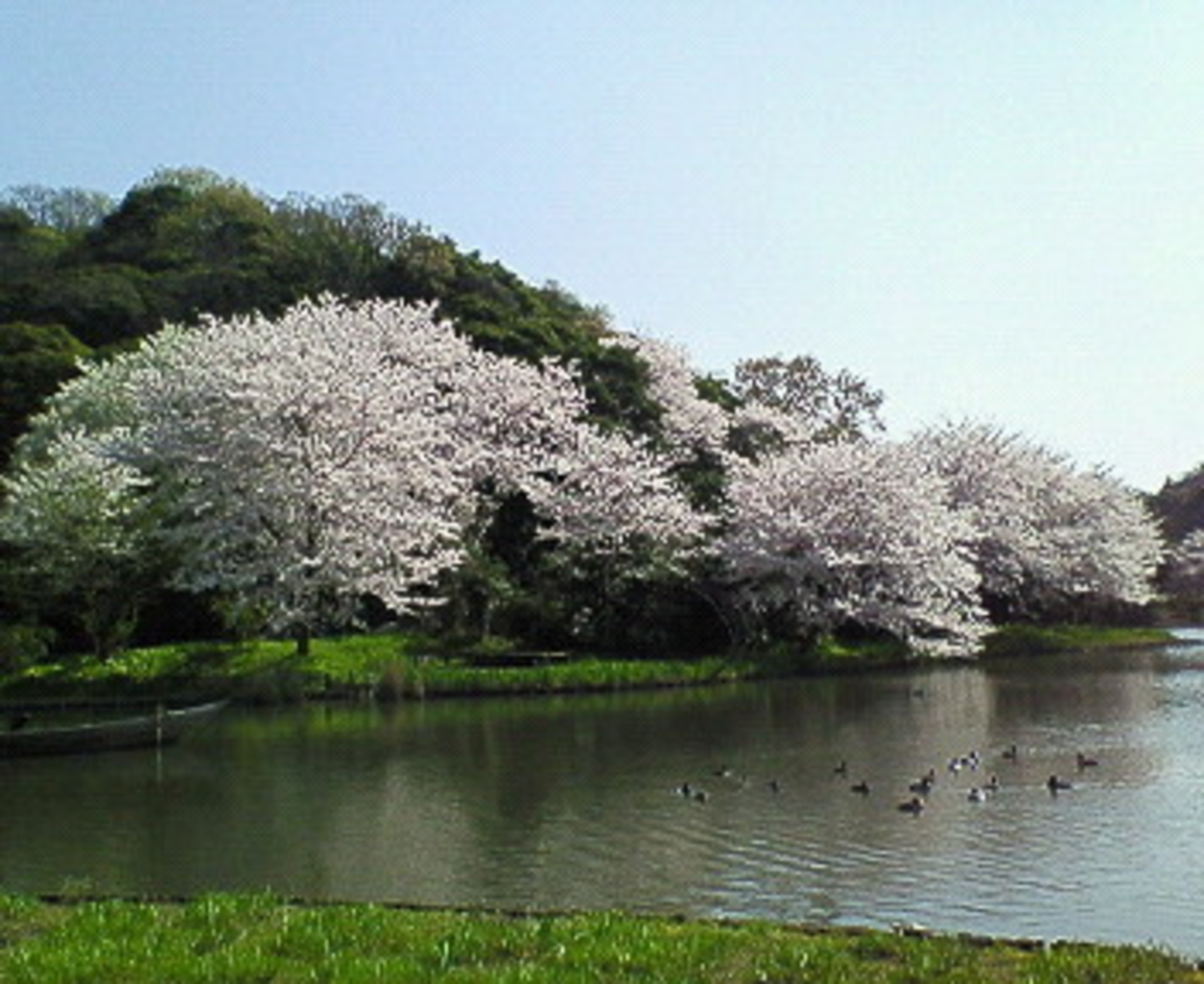三溪園