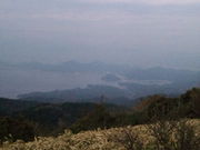 イチゴちゃんさんの金冠山の投稿写真1